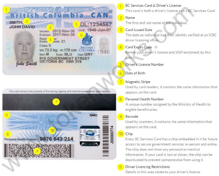 Features of British Columbia Drivers License 2013