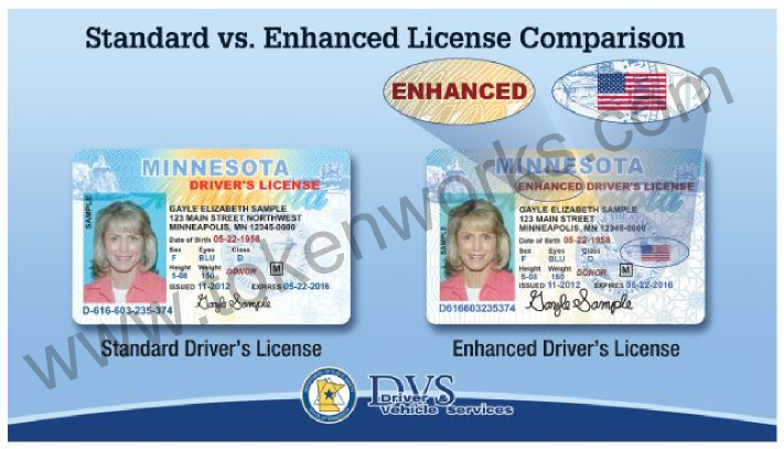 MN Standard vs Enhanced License Comparison