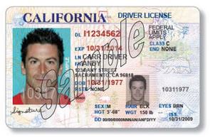 New Driver’s License Category for Undocumented Immigrants in California