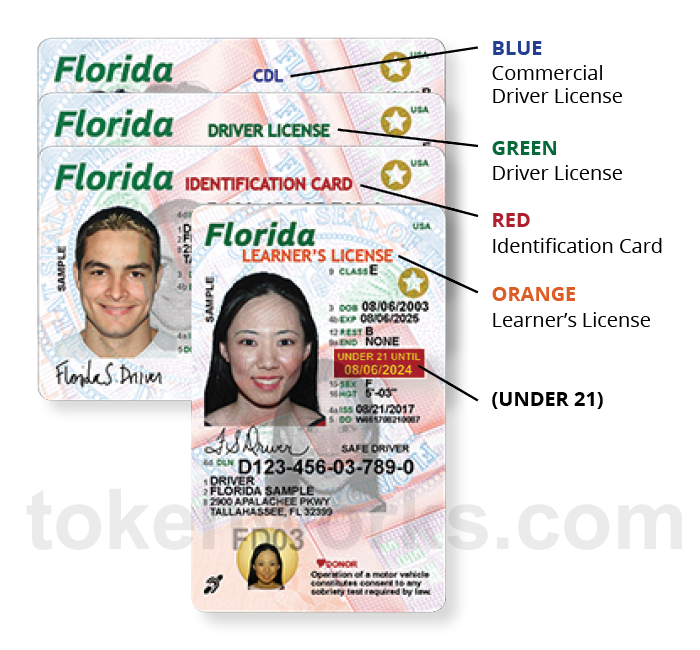 New Florida Driver's License and ID Card Design