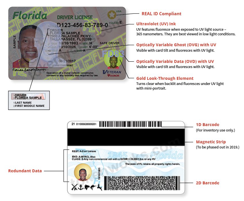Florida driver's license fraud protection features