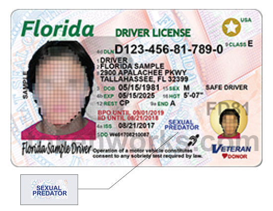 Florida Driver's License - sexual predator designation