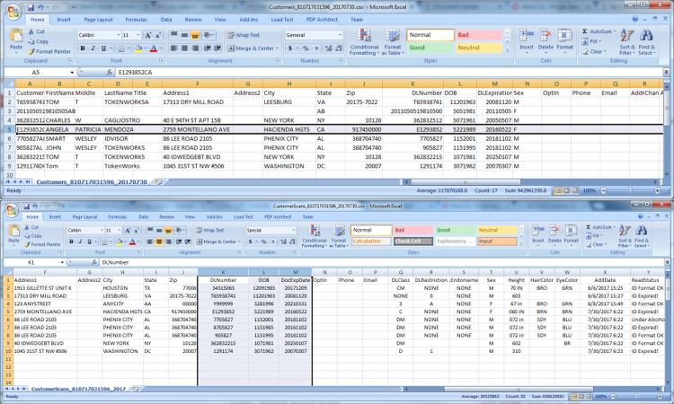 Excel Spreadsheet with Scanned Data from ID Scanner
